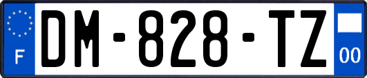 DM-828-TZ
