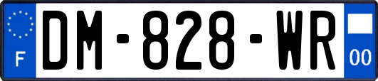 DM-828-WR