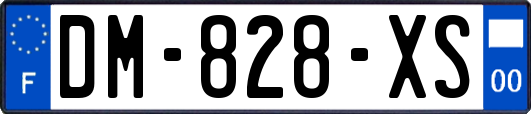 DM-828-XS