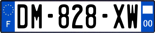 DM-828-XW