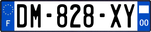 DM-828-XY