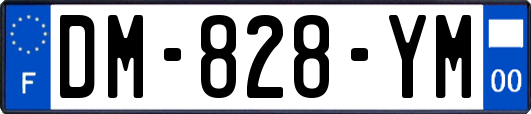 DM-828-YM