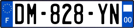 DM-828-YN