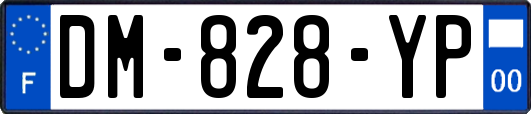 DM-828-YP