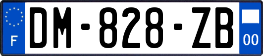 DM-828-ZB