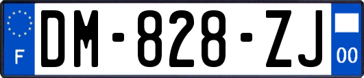 DM-828-ZJ