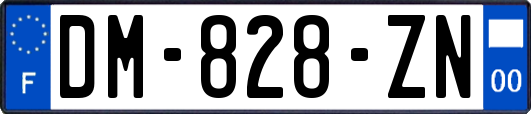 DM-828-ZN