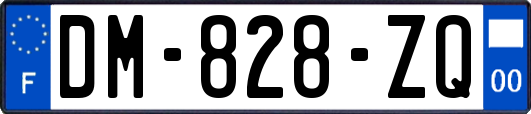 DM-828-ZQ