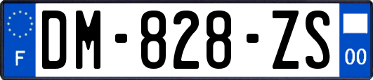 DM-828-ZS