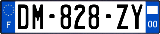 DM-828-ZY