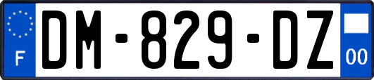 DM-829-DZ