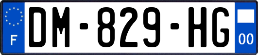 DM-829-HG