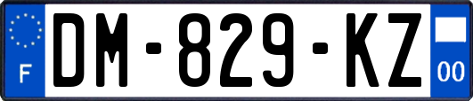 DM-829-KZ