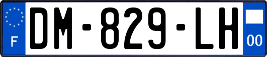 DM-829-LH