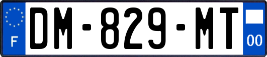DM-829-MT