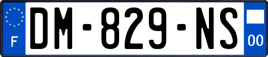 DM-829-NS