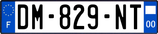 DM-829-NT