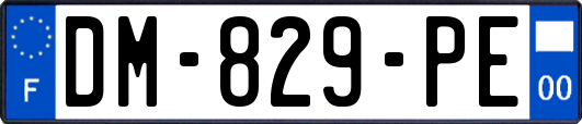 DM-829-PE