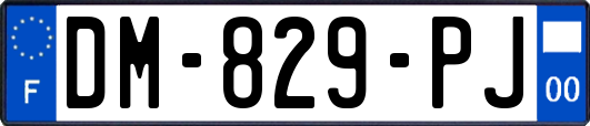 DM-829-PJ
