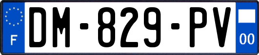 DM-829-PV