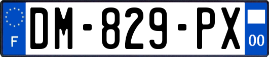 DM-829-PX