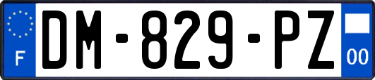 DM-829-PZ