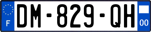 DM-829-QH