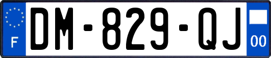 DM-829-QJ