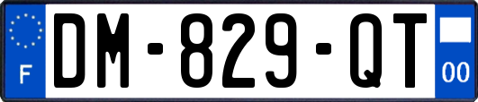 DM-829-QT