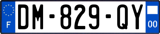 DM-829-QY