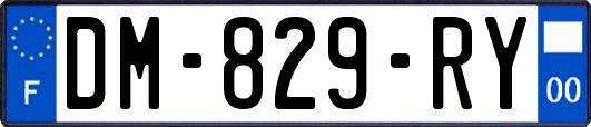 DM-829-RY
