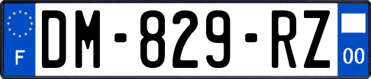 DM-829-RZ