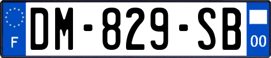DM-829-SB
