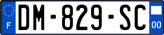 DM-829-SC