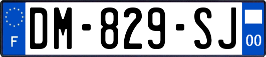 DM-829-SJ