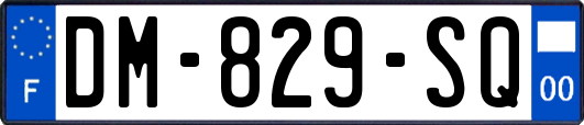 DM-829-SQ
