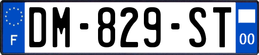 DM-829-ST