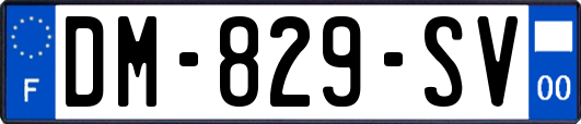 DM-829-SV