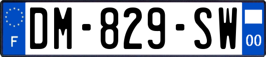 DM-829-SW