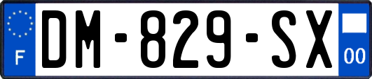 DM-829-SX