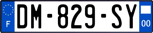 DM-829-SY