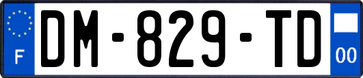 DM-829-TD