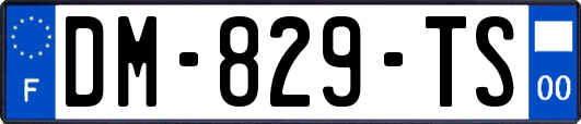 DM-829-TS