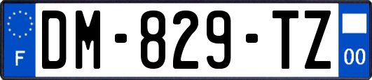 DM-829-TZ