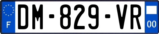 DM-829-VR