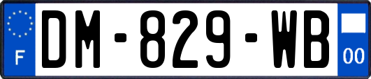 DM-829-WB