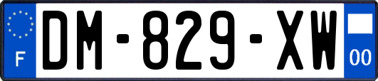 DM-829-XW