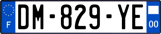 DM-829-YE