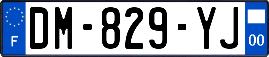 DM-829-YJ