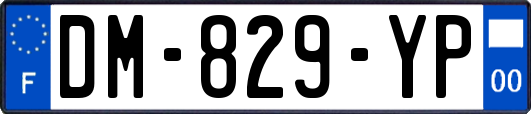 DM-829-YP